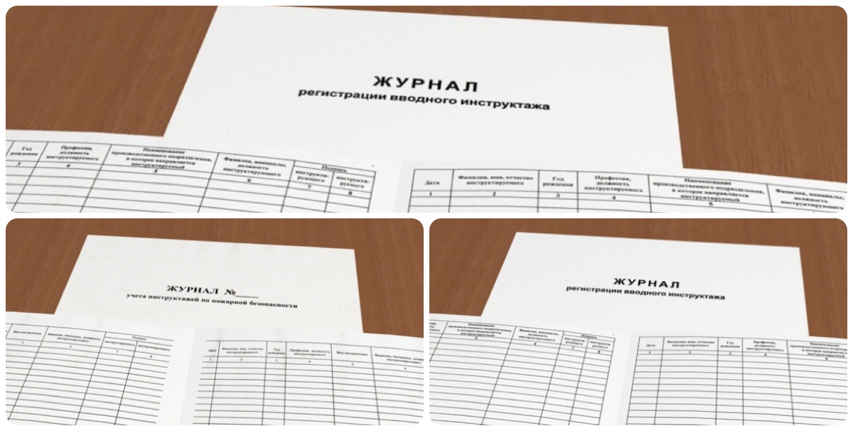Вводный журнал по охране труда купить в Кызыле